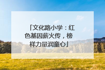 文化路小学：红色基因薪火传，榜样力量润童心